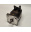 TGN5-1200-30-560/T1BS4-SKM - TG DRIVES