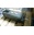 1FT6108-8AC71-3EH1 - SIEMENS