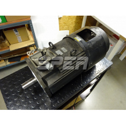 BS Servomotor